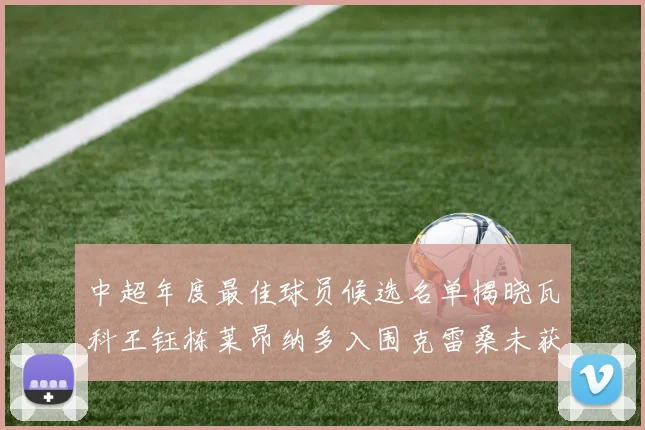 中超年度最佳球员候选名单揭晓瓦科王钰栋莱昂纳多入围克雷桑未获提名